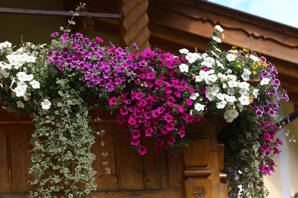 Alpenecho Apartment Neustift im Stubaital Exterior photo